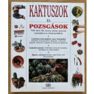 Illésfalvi Péter-Szabó Péter-Számvéber Norbert: Erdély a hadak útján 1940-1944