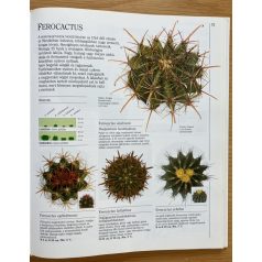 Terry Hewitt: Kaktuszok és pozsgások