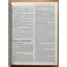 James B. Wyngaarden: Cecil textbook of Medicine 