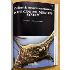 The Essential Brain - Current Topics in Science and Medicine