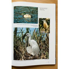   Rakonczai János (szerkesztő): Napfényország. Csongrád megye természeti értékei