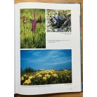 Rakonczai János (szerkesztő): Napfényország. Csongrád megye természeti értékei