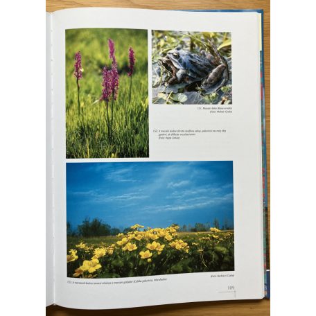 Rakonczai János (szerkesztő): Napfényország. Csongrád megye természeti értékei