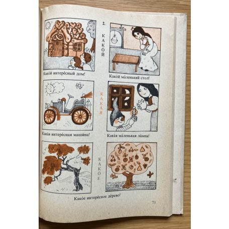 Szilágyi Erzsébet: A Narancsszínű bolygó (Orosz nyelvű)