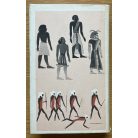 Várkonyi Nándor: Sziriat oszlopai 