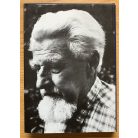 Konrad Lorenz: Összehasonlító magatartás-kutatás