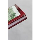 Vajda Ferenc, Dr. (szerk.): A Don partjáig és vissza