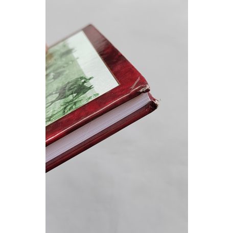 Vajda Ferenc, Dr. (szerk.): A Don partjáig és vissza