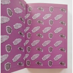   Walker, Cyril - Ward, David: Ősmaradványok (Határozó kézikönyvek)