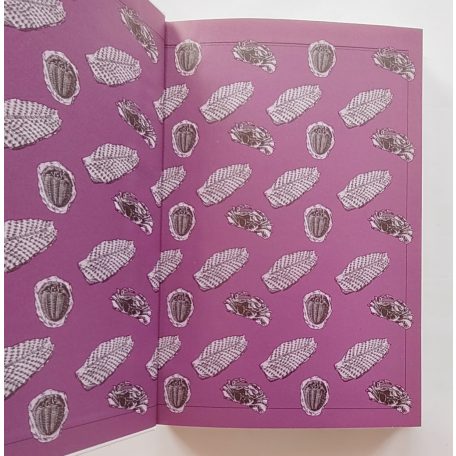 Walker, Cyril - Ward, David: Ősmaradványok (Határozó kézikönyvek)