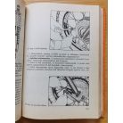 Mészáros Ferenc-Moldvai Tibor: Hogyan javítsam a motorkerékpáromat?