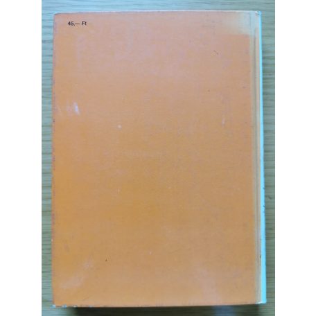 Mészáros Ferenc-Moldvai Tibor: Hogyan javítsam a motorkerékpáromat?