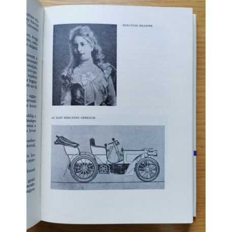 Horváth Árpád: A gépkocsi regénye