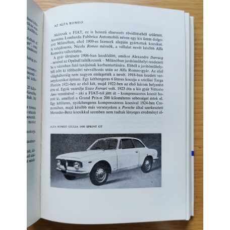 Horváth Árpád: A gépkocsi regénye