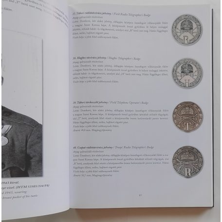 Sallay Gergely Pál: Seregszemle fémben, zománcban