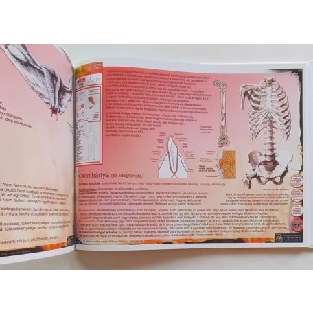 Barnai Roberto: Biologika Szerv Atlasz 2012