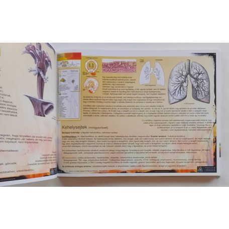 Barnai Roberto: Biologika Szerv Atlasz 2012