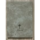 Szabados György: A magyar történelem kezdeteiről (Dedikált!)