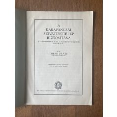 Ihrig Dénes: A karapancsai szivattyútelep biztosítása