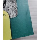 Somkutas Róbert: Álcaruhában - Fejezetek a hadműveleti-harcászati és csapatfelderítés történetéből (1945 - 2000)