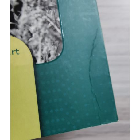 Somkutas Róbert: Álcaruhában - Fejezetek a hadműveleti-harcászati és csapatfelderítés történetéből (1945 - 2000)