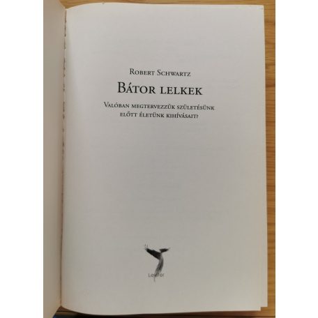 Robert Schwartz: Bátor lelkek - Valóban megtervezzük születésünk előtt életünk kihívásait?