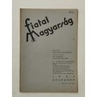 Fodor Ferenc (szerk.): Fiatal Magyarság IV. évf. 1934 (teljes, 10 lapszám)