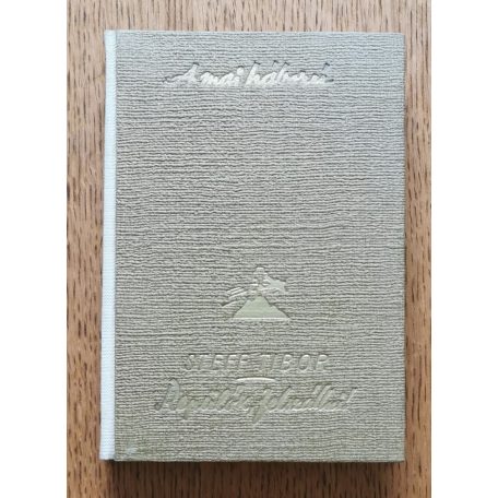 Steff Tibor: Repülők felszállni!