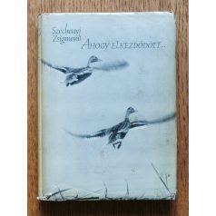 Széchenyi Zsigmond: Ahogy elkezdődött