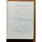 Széchenyi Zsigmond: Hengergő homok