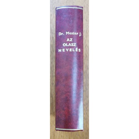 Mester János, Dr.: Az olasz nevelés a XIX. és XX. században 