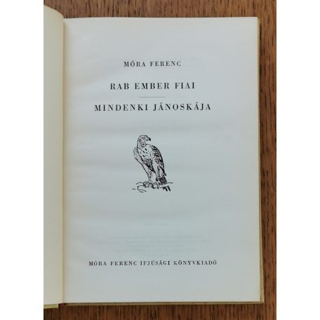 Móra Ferenc: Rab ember fiai - Mindenki Jánoskája