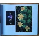 Molnár Gyula: Az én Alföldem (Dedikált)