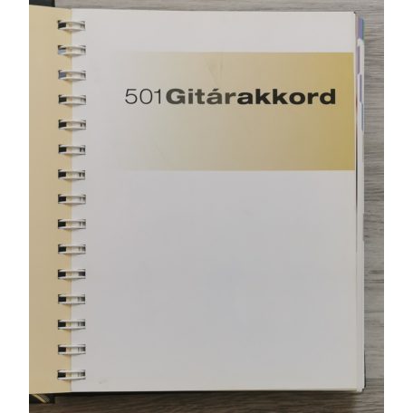 Phil Capone: 501 gitárakkord