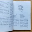 Kezelési- és karbantartási utasítás Rába-MAN D 2156 MT6 Diesel-motor