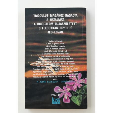 Paul Davids - Hollace Davids: A jedik elveszett városa