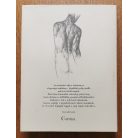 Barcsay Jenő: Művészeti anatómia (1958) Gyüjtőpéldány!