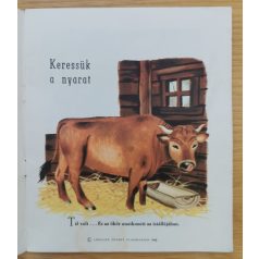 Natha Caputo: Keressük a nyarat