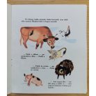 Natha Caputo: Keressük a nyarat