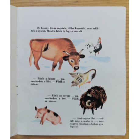 Natha Caputo: Keressük a nyarat