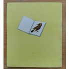 Natha Caputo: Keressük a nyarat