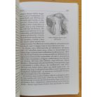 Magyar László András: A repülőkenőcs 