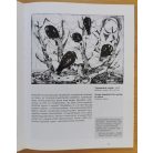 Papp György: Papp György képzőművészeti munkássága (Dedikált!)