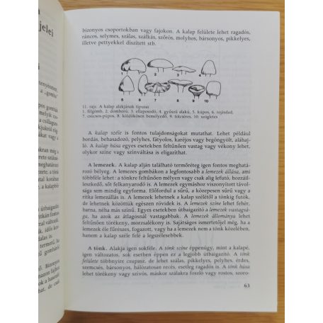 Kalmár Zoltán: Gombászkönyv