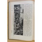 Gabányi János: A magyar nemzet története I-II.