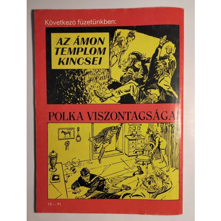 Zórád Ernő: Nyomoz a szerelmespár - Krimi képregény-sorozat 1. Báró Holding üzlete - A fehér ördög cimborái