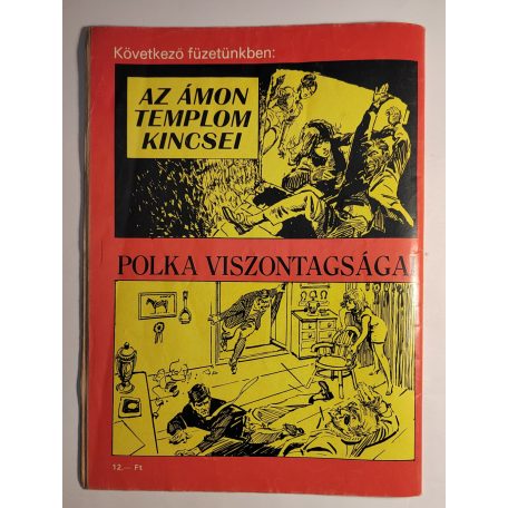 Zórád Ernő: Nyomoz a szerelmespár - Krimi képregény-sorozat 1. Báró Holding üzlete - A fehér ördög cimborái