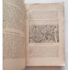 Pettenkoffer Sándor: Borgazdaság (1941)