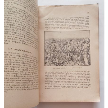 Pettenkoffer Sándor: Borgazdaság (1941)