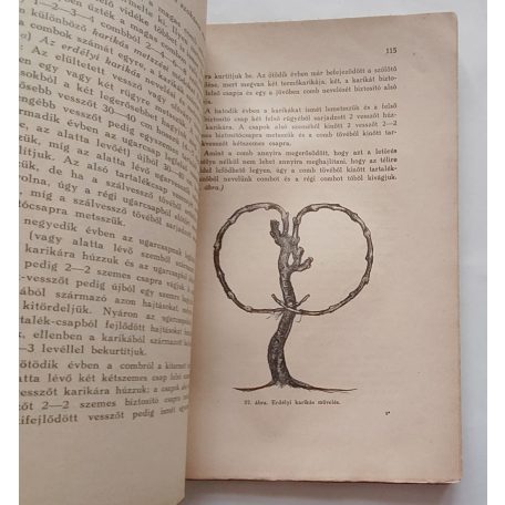 Marton Dénes: Szőlőtermesztés (1940)